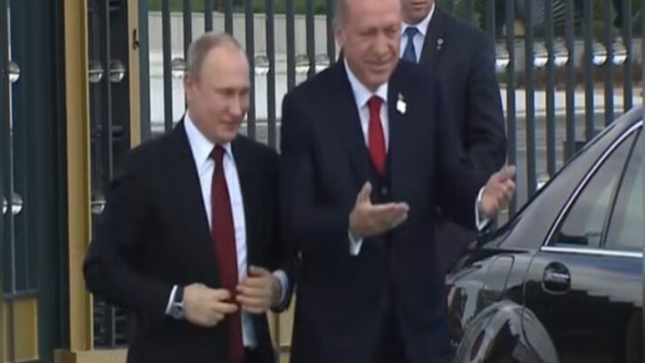 Erdoğan ve Putin yeni nükleer santraller kurulmasını ele alacak