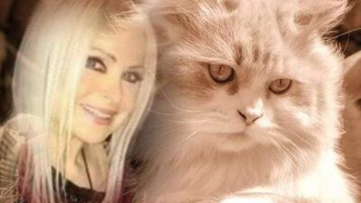 Ünlü sinema ve sahne sanatçısı Leyla Somer kendini sokak hayvanlarına adadı