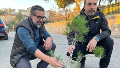 5 Aydır Asfaltlanmayan Yola Fidan Dikerek Protesto Etti…