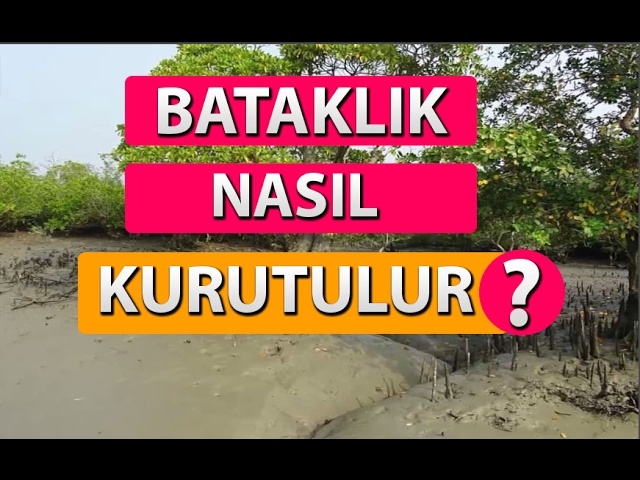 Hasan Karabulut yazdı; Bataklığı kurutma vakti geldi