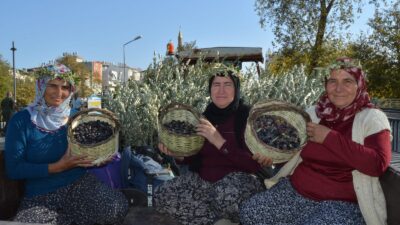 MANAVGAT’TA ZEYTİN VE ZEYTİNYAĞI FESTİVALİ COŞKUYLA BAŞLADI