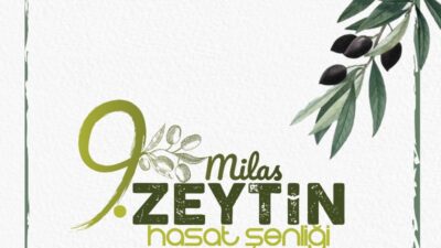 10. MİLAS ZEYTİN HASAT ŞENLİĞİ İÇİN GERİ SAYIM BAŞLADI