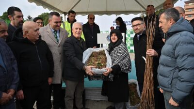 Bursa Büyükşehir’den üreticiye fide ve fidan desteği