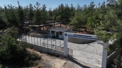 Bursa’da can dostlar yeni yuvalarına kavuşuyor