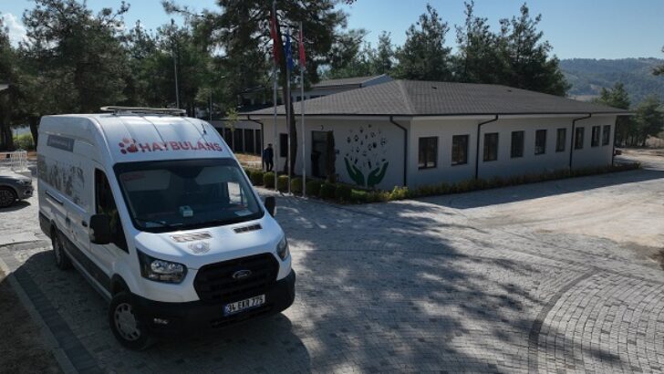Bursa Büyükşehir’den can dostlara şefkat