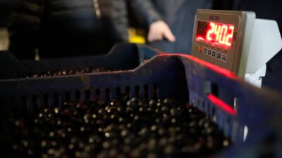 Gemlik Belediyesi’den, Zeytin Üreticisine 3 Milyon Liralık Destek