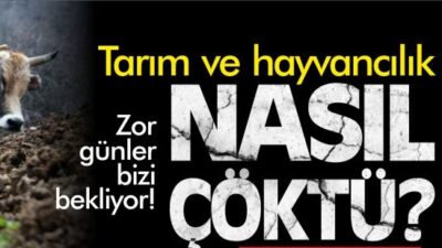CHP BURSA MİLLETVEKİLİ ORHAN SARIBAL; “2024: TARIMIN ÇÖKÜŞ YILI”