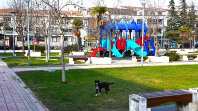 Gemlik’te Çevre Düzenleme Çalışmaları Devam Ediyor