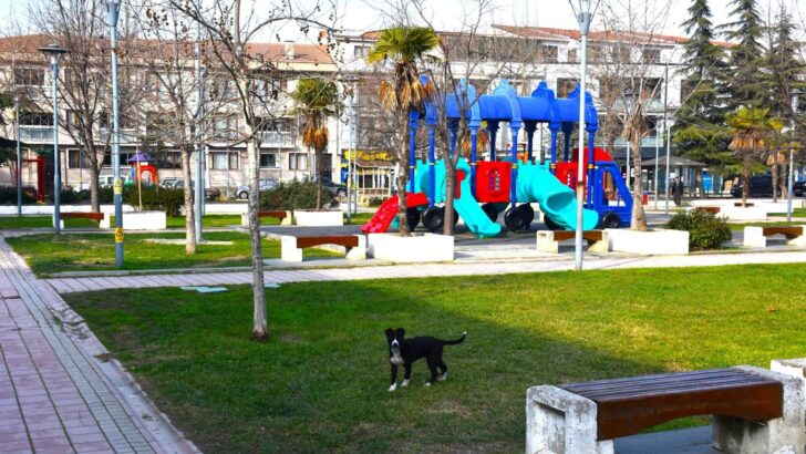 Gemlik’te Çevre Düzenleme Çalışmaları Devam Ediyor