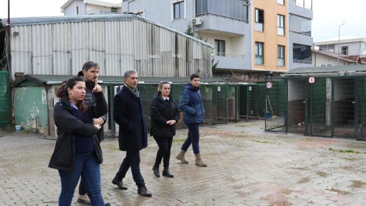 Başkan Deviren: Patili Canlar İçin İşbirliği Yapalım