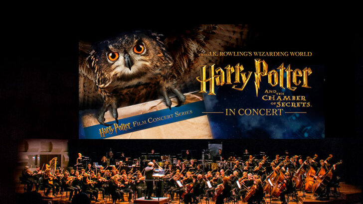 HARRY POTTER VE FELSEFE TAŞI™, SENFONİ ORKESTRASI EŞLİĞİNDE HAYRANLARIYLA BULUŞUYOR!