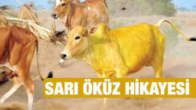 ŞAHİNDUR’DAN GÖZALTI VE TUTUKLAMALARA TEPKİ: SARI ÖKÜZ HİKAYESİNE DOĞRU GİDİYORUZ!