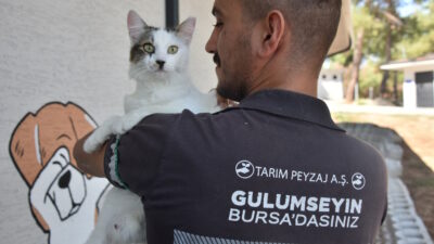 Büyükşehir’den can dostları için önemli proje