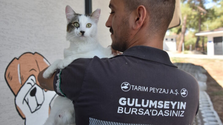 Büyükşehir’den can dostları için önemli proje