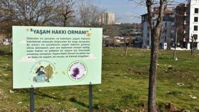 Hatıraları Yaşam Hakkı Ormanında Yaşayacak!