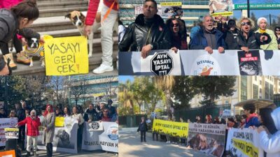 Hayvan Hakları Savunucuları, Yasa’yı İptal Et diyen İmzaları AYM’ye Teslim Etti