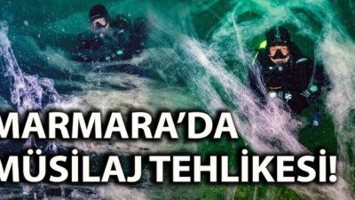 Çelik’ten Müsilaj Uyarısı