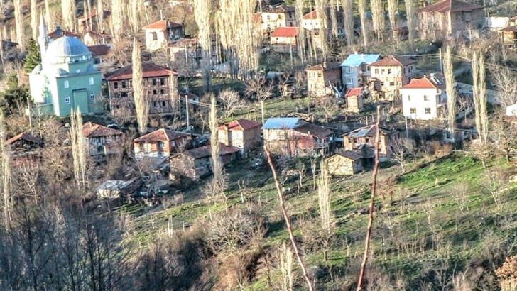 Gemlik Fevziye’de Artvin Rüzgarı! Protokol O Adreste Buluştu!