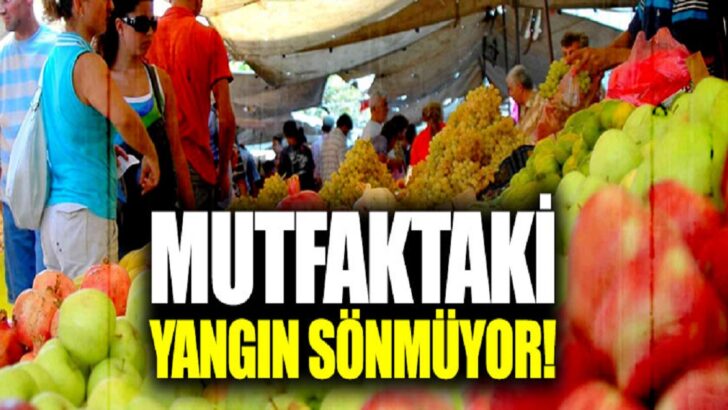 Türkiye EMEDFED Başkanı Gönül Boran Özüpak’tan Sert Eleştiri: Mutfakta Yangın Sönmüyor