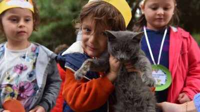 YILDIRIM’DA 625 PATİLİ DOST SICAK YUVAYA KAVUŞTU