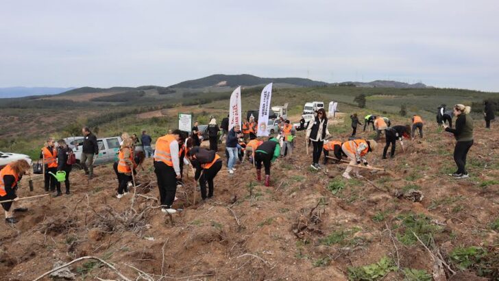 BUSADER’DEN 10 BİN AĞAÇLIK ORMAN PROJESİ
