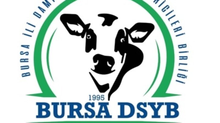 DSYB’ye KORKUSUZ Aday