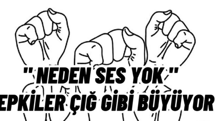 ” Neden Ses Yok “