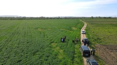 MUSTAFAKEMALPAŞA’DA 200 DÖNÜM AYÇİÇEĞİ EKİMİNE BAŞLANACAK