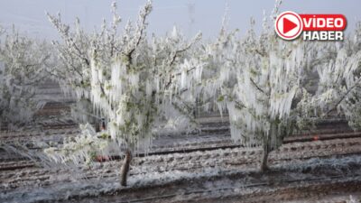 “Çiftçiye hızla destek verilmeli”