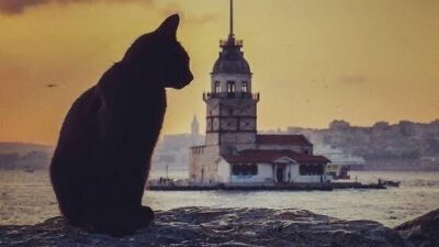 “Sevgi Sokakta” ve “Her Mama Bir Nota” ile Alanya’da Bir Kadının Sessiz Kahramanlığı