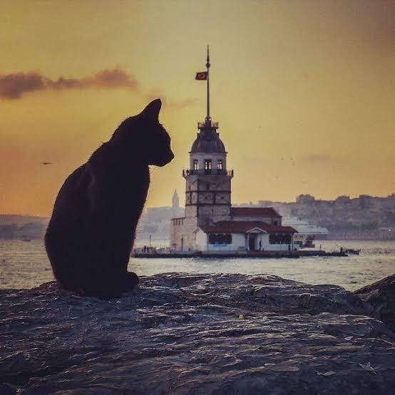 “Sevgi Sokakta” ve “Her Mama Bir Nota” ile Alanya’da Bir Kadının Sessiz Kahramanlığı