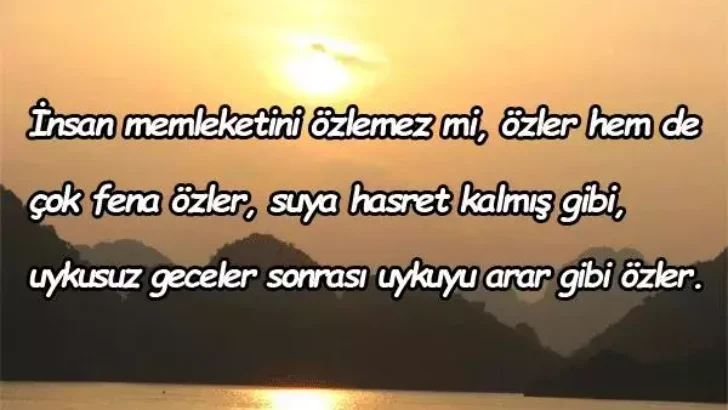 Hayrettin Bulut yazdı; Hoşcakal memleket