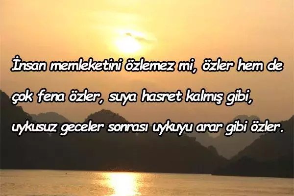 Hayrettin Bulut yazdı; Hoşcakal memleket