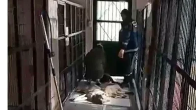 Aydınlık Geleceğin Partisi Genel Başkan Yardımcısı ve Bursa İl Başkanı Ayhan Çolak’tan Osmangazi Barınağı Olayına Sert Tepki