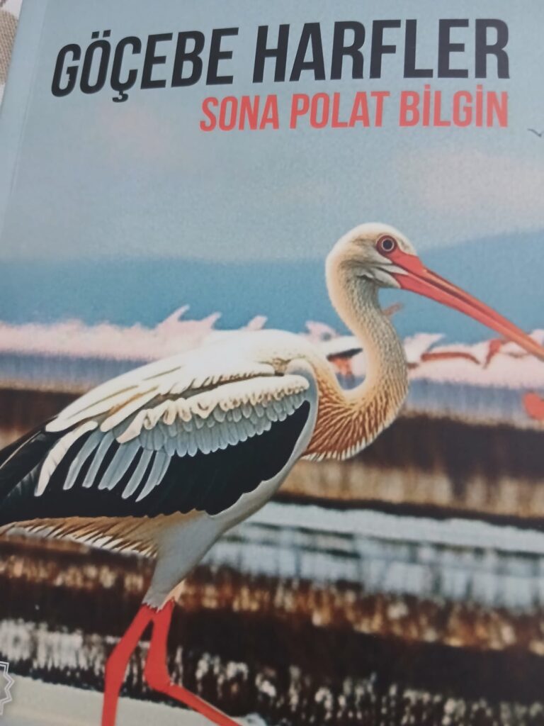 GÖÇEBE HARFLER