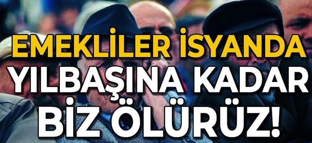 Gönül Boran Özüpak’tan Sert Çıkış: “Yılların Emeği Nerede?”