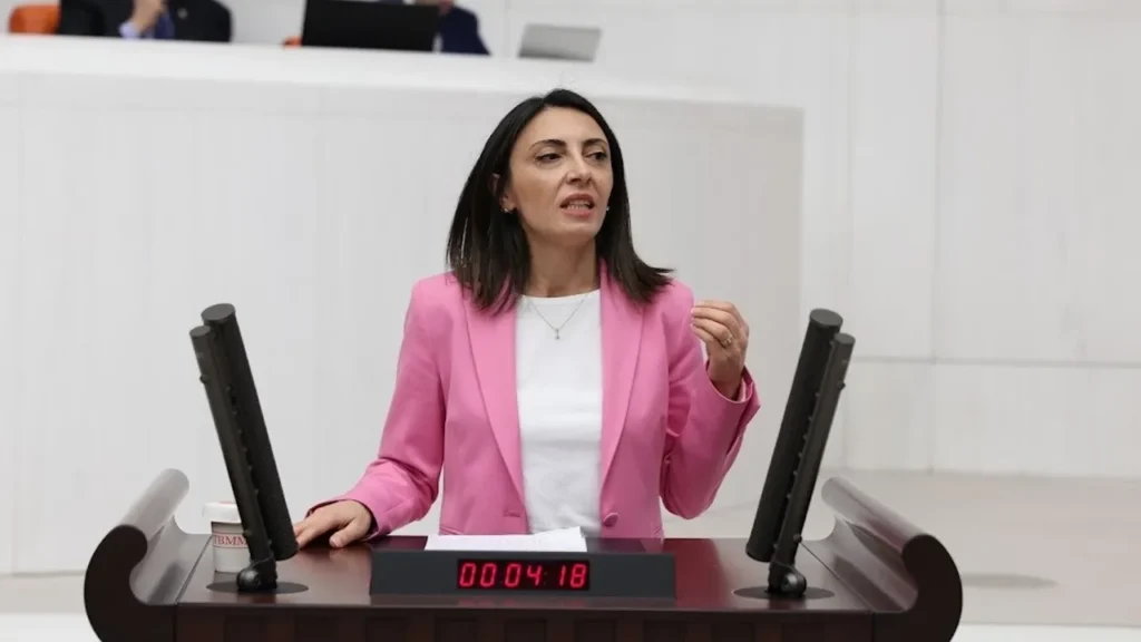 KAYIŞOĞLU’NDAN MECLİS’TE ÇARPICI KONUŞMA: İNSAN HAKLARI İHLALLERİ ARTIYOR, DENETİM MEKANİZMALARI YOK!