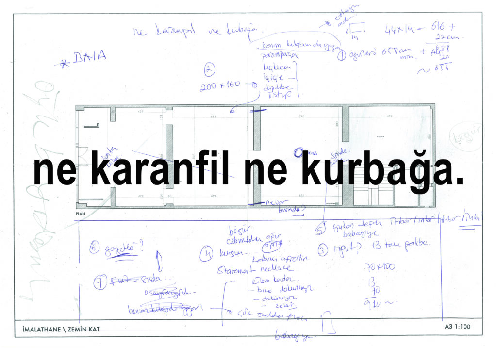Banu Cennetoğlu’nun “ne karanfil ne kurbağa.” adlı kişisel sergisi 25 Ekim’de İMALAT-HANE’de açılıyor