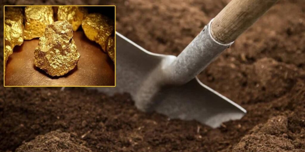 Fransa’da “Bahçesinde Altın Bulan Adam” Haberi Gerçek Değil