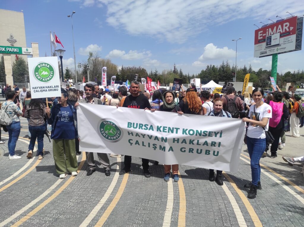 Kazım Gezer’den Sert Çıkış: “Çekin Elinizi Büyükşehirden!”