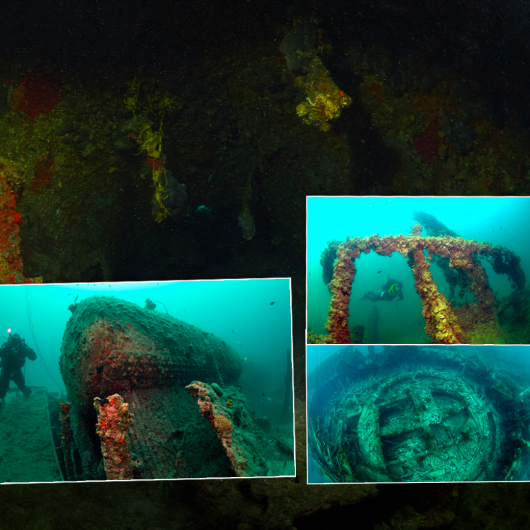 Kadının Anatomisi: Hayat Mücadelesinin Derinlikleri