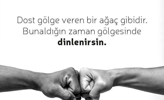 DOSTLUĞUN GÖLGESİ, HAYATIN GERÇEĞİ