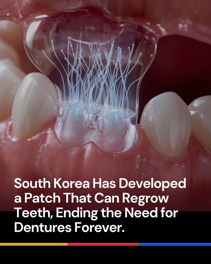 Diş Hekimliğinde Devrim: Güney Kore’den Doğal Diş Yenileme Yamaları!