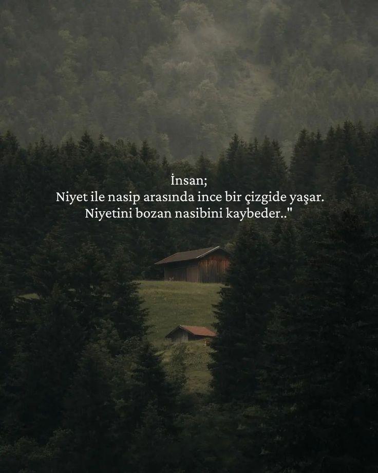 “Yurtları Abat Eden de Berbat Eden de İnsan Elidir”