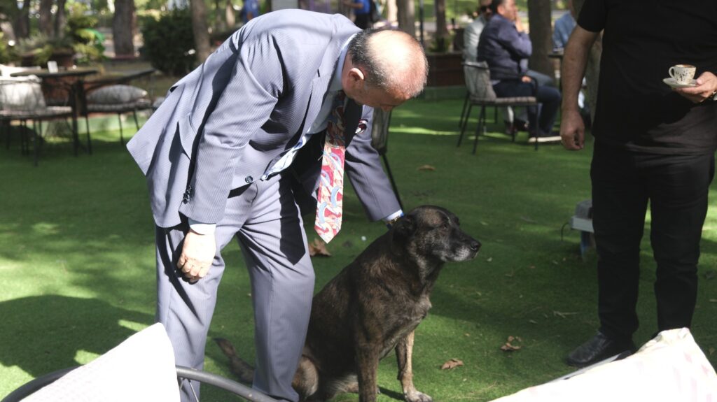 “Ben Sokak Hayvanlarının da Genel Başkanıyım”