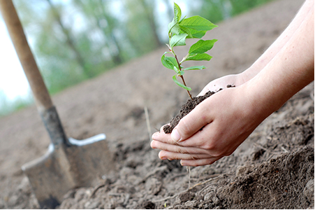 “Geleceğe Nefes, Dünyaya Umut”