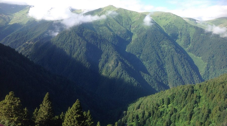 Burnumuzun Dibi Altın Kaynıyor Bizde Kuruş Yok!