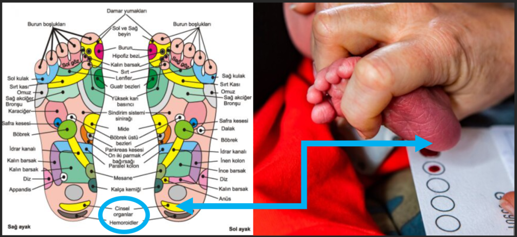 Emine Erdoğan Hanımefendi’ye Topuk Kanı Mektubu