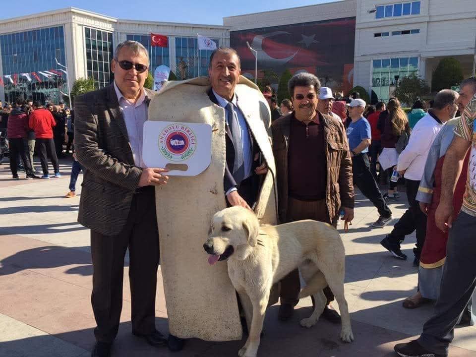 “İnsan hakları lafla değil, iradeyle korunur”