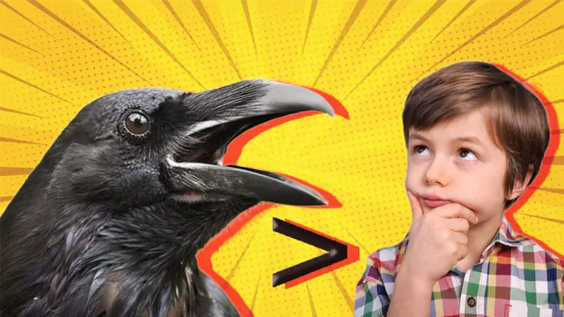 Karga karga gak dedi…